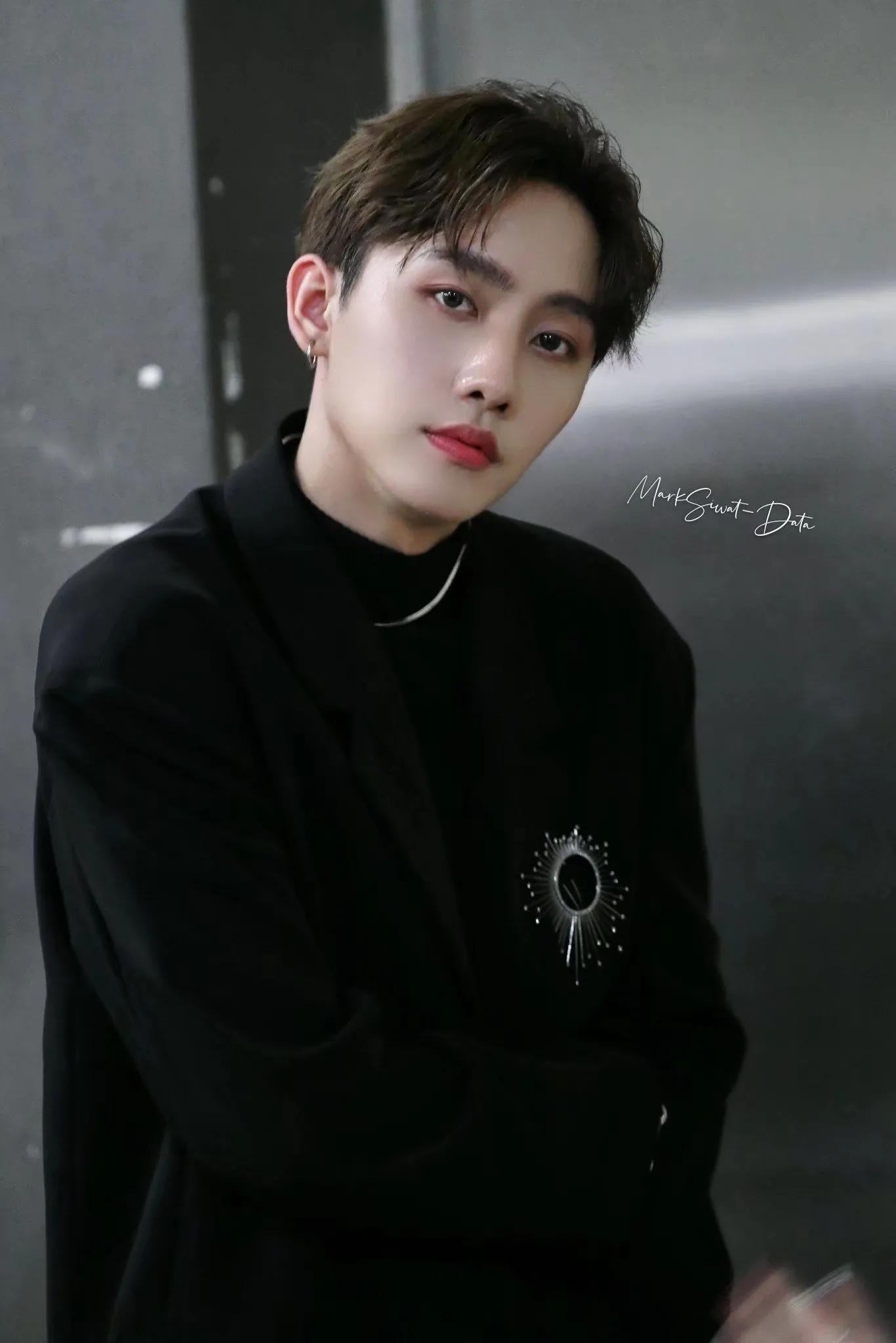 泰星陈瑞书个人资料,泰国明星评价陈瑞书