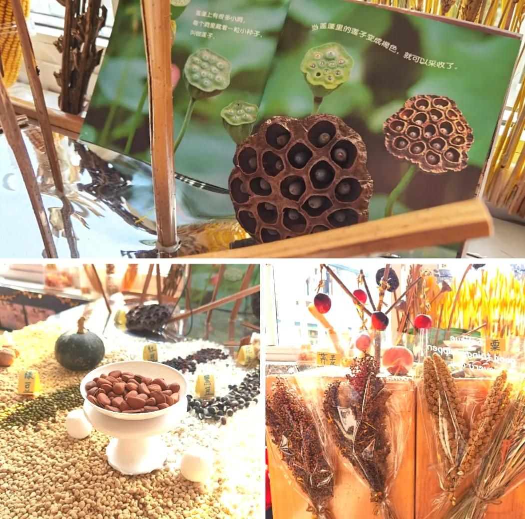 最美的风景美丽的校园,最美的风景就是校园