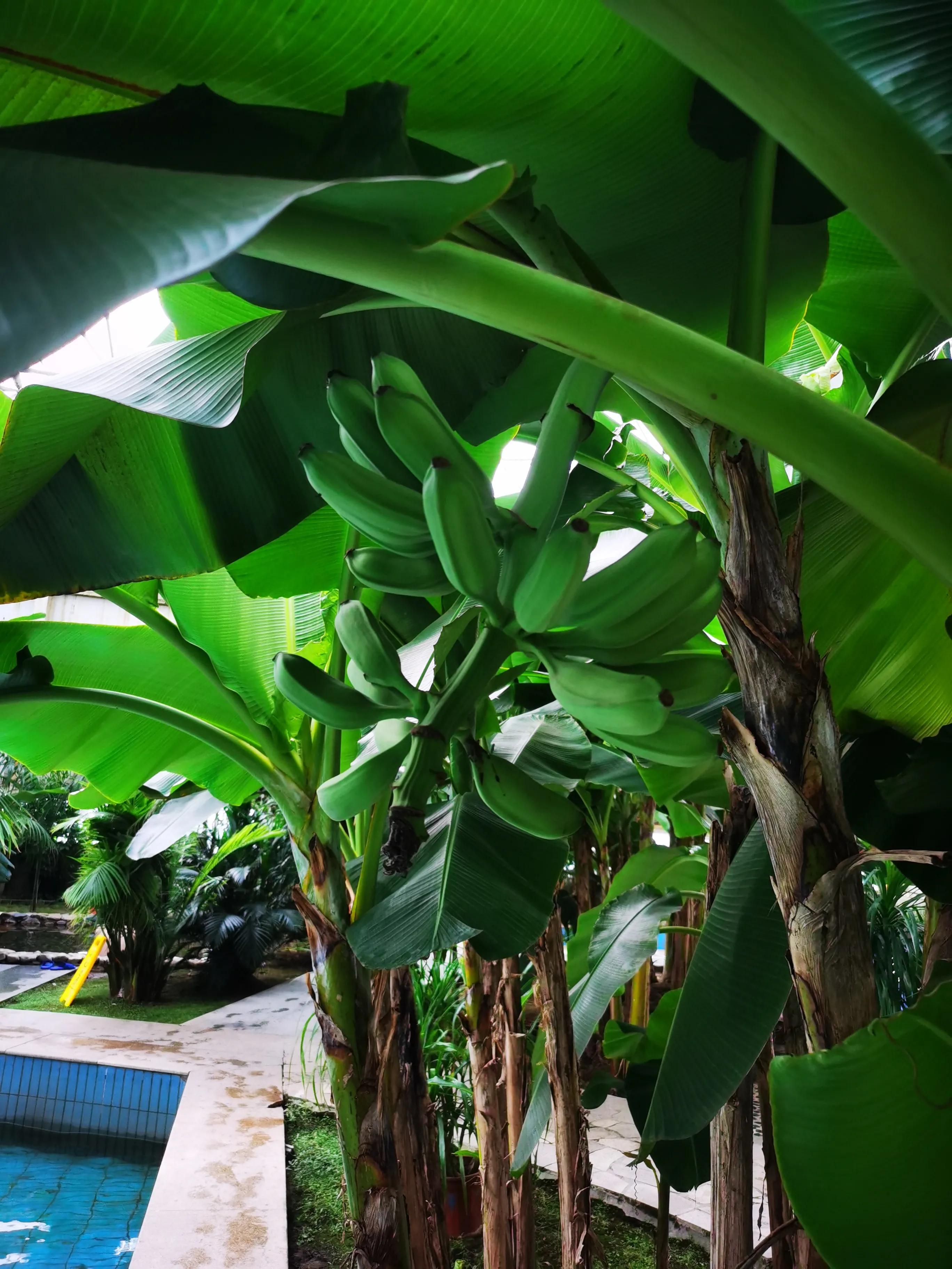 鲅鱼圈魔法温泉公园门票多少钱,鲅鱼圈泡温泉地方推荐