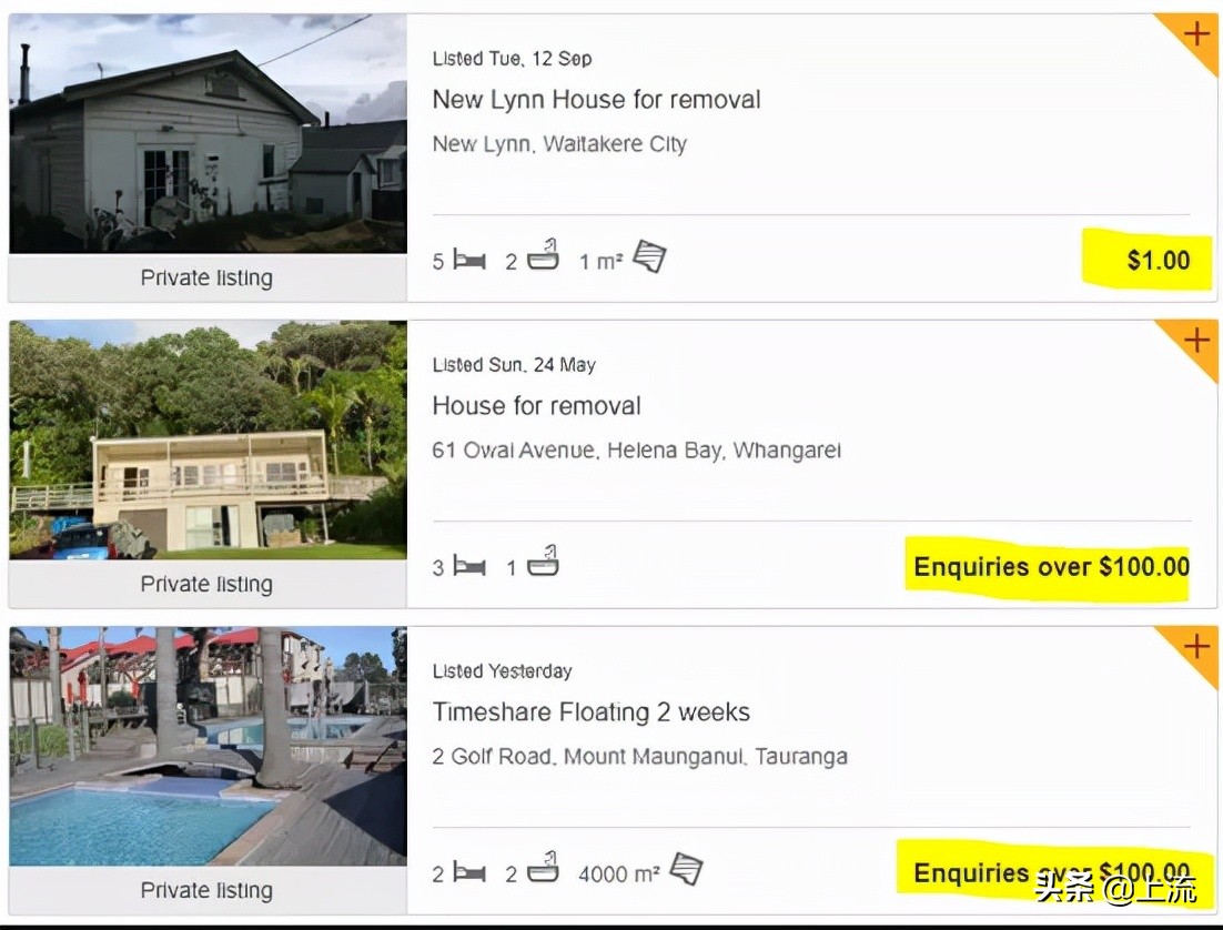 看了一次新西兰式硬核搬家，租房青年悟了