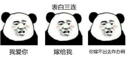 熊猫头抱着男的表情包,熊猫头手捧鲜花求婚表情包