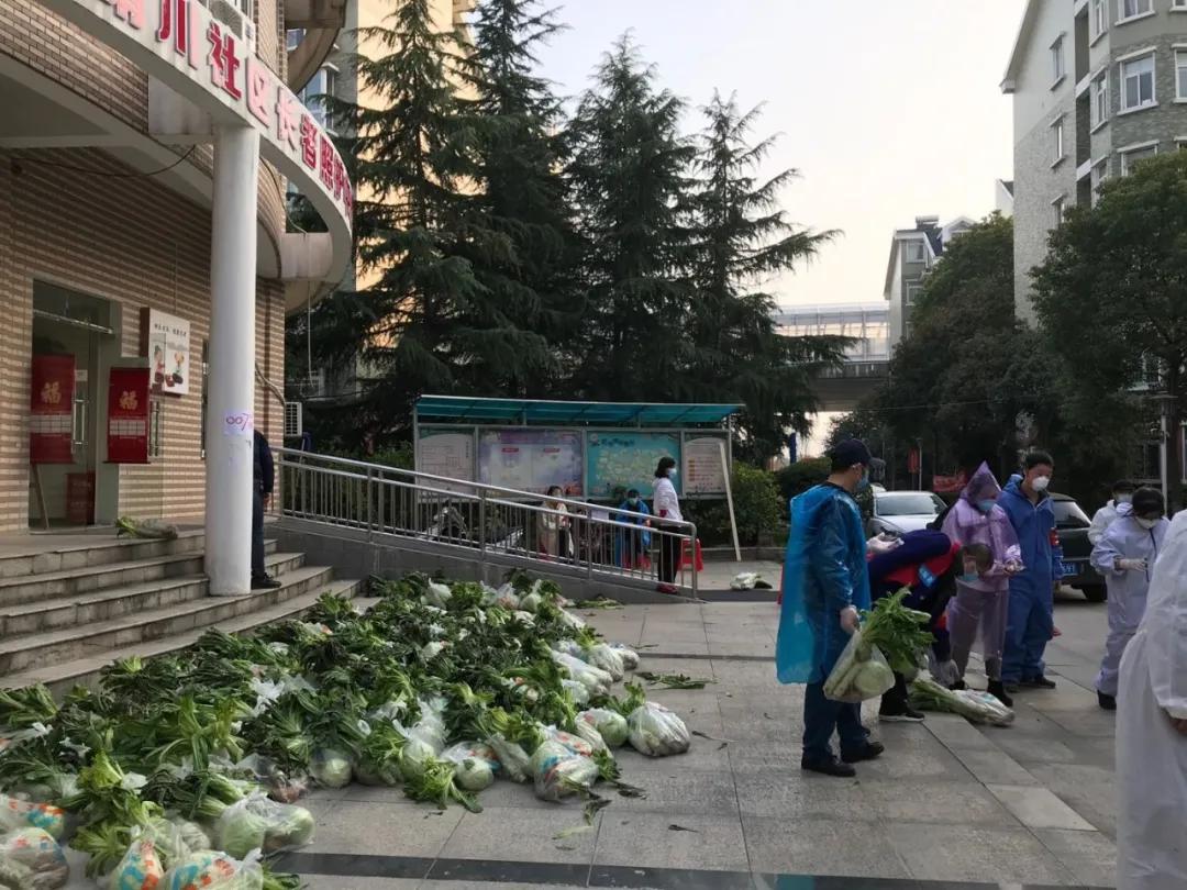 下沉公务员：我在老社区分发10元爱心菜