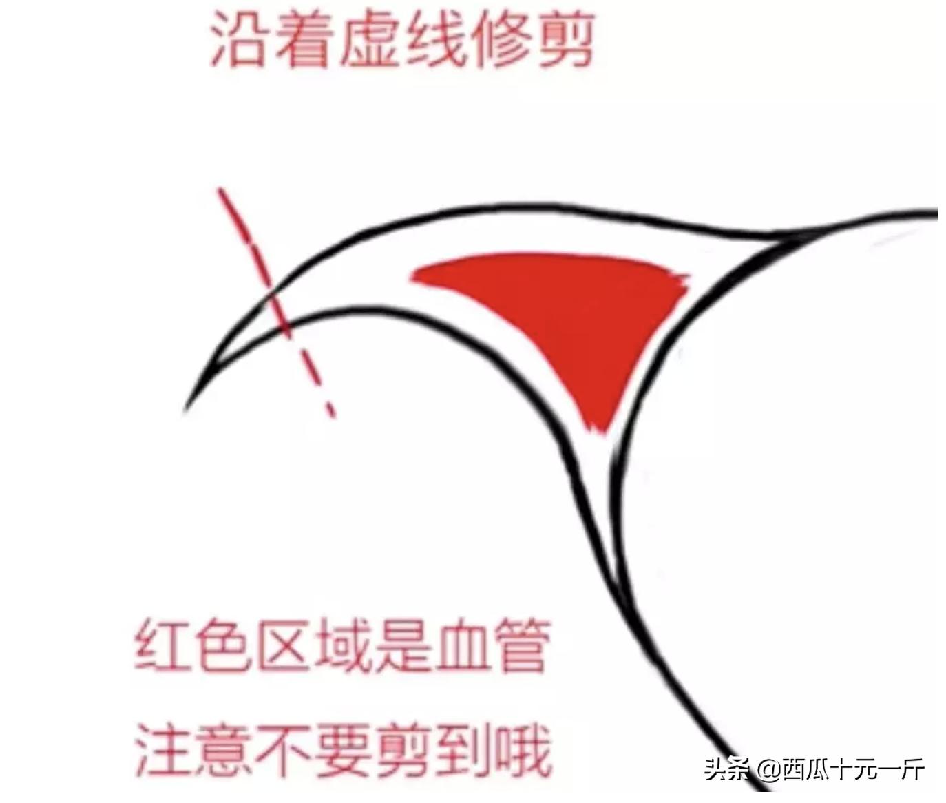 银河系养猫指南-第二篇