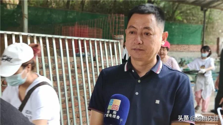 被救下的111条狗狗,一只金毛流浪狗被解救过程