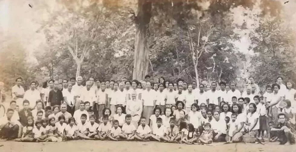 2494普陀耐大模价格曝光和综合鉴定方法「鉴变」