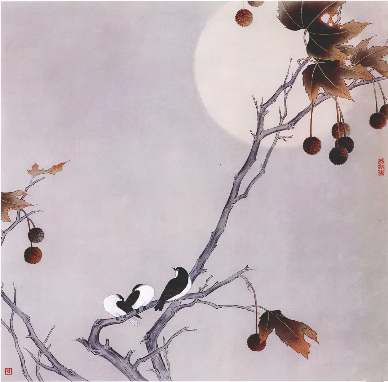 杜曼华美人蕉工笔画,淡雅空灵杜曼华工笔花鸟作品40幅