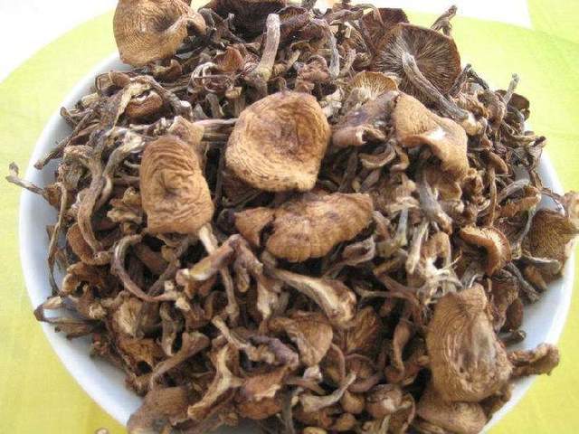 哈尔滨购物商场排名,哈尔滨旅行篇视频