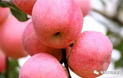 奥利给遇到奥利奥,奥利给优选商品