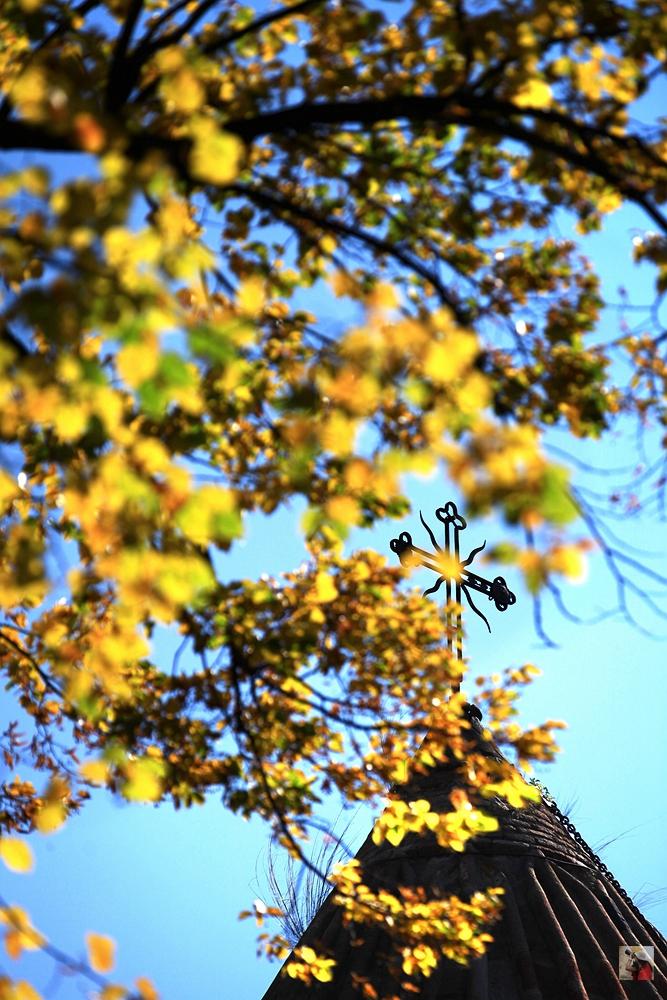 外高加索旅游攻略,走进神秘波斯伊朗超详细旅游攻略