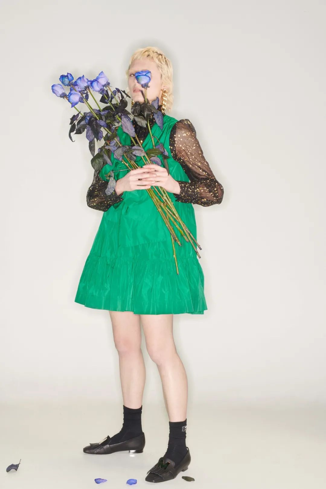 dailybrand鍥捐В,dailybrand