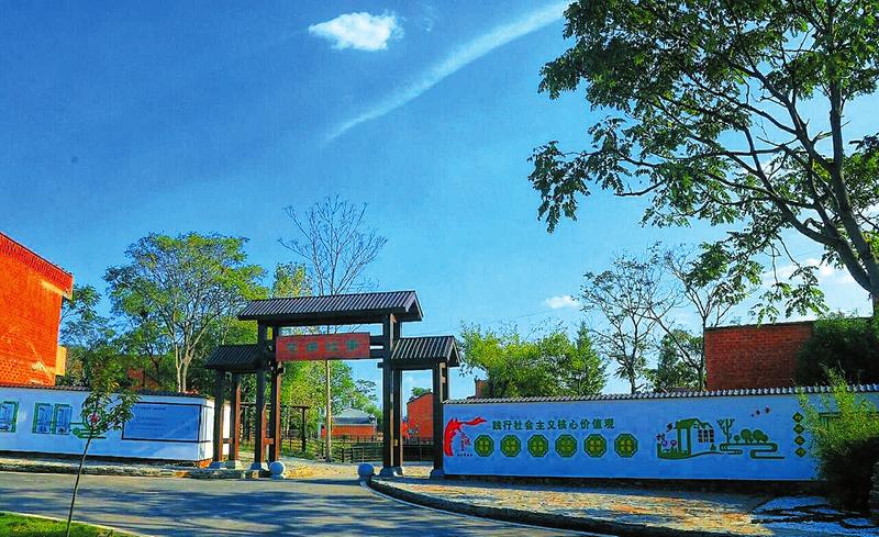 希望的田野永平,希望的田野的视频