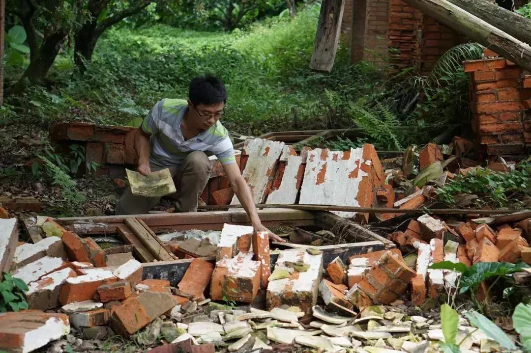 放弃世界顶尖银行工作,他回村当木匠,在废墟上盖出了爆美小院!