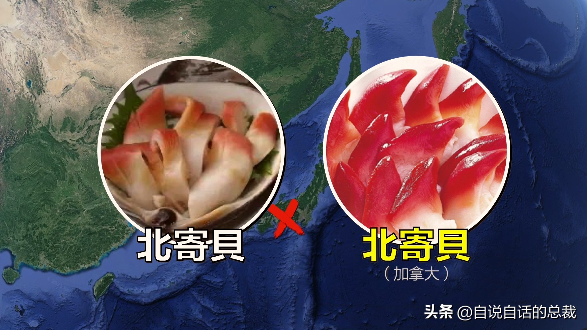 蛤、蚶、蛏、蚝、蚬有什么区别？这是一群美味海怪与人类的故事