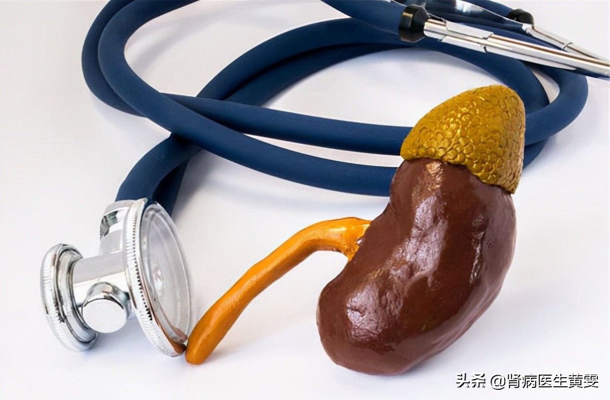 肾病患者被黄蚂蚁咬到,被蚂蚁咬了肾会衰竭吗