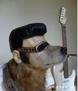 每日一笑：表姐未婚夫被她经理的未婚妻抢走了，表姐找到她经理说