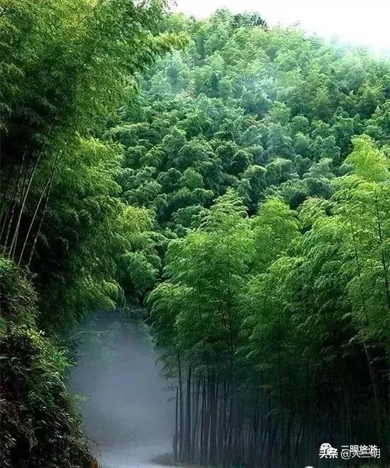 绿都最氧三明景区预约,绿都最氧三明旅游攻略