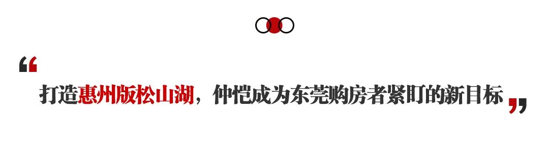 惠州仲恺未来潜力大涨,黑马出圈视频