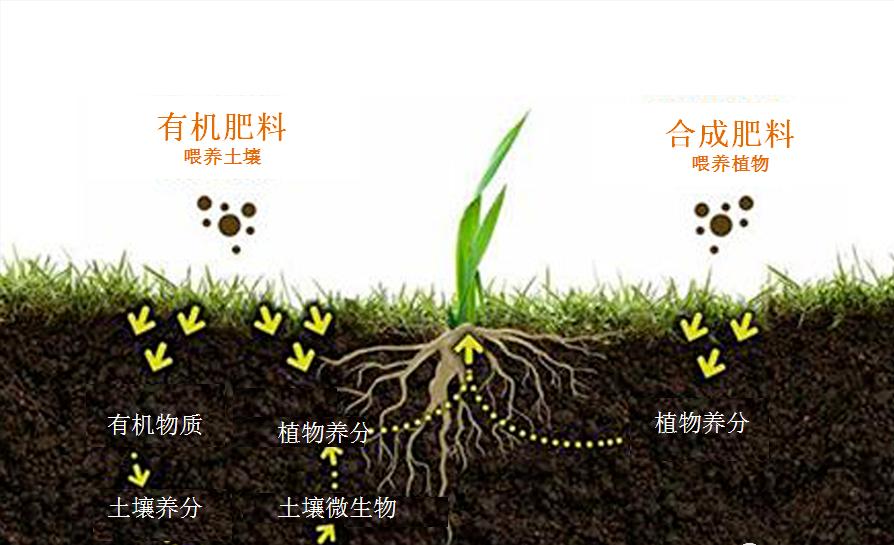 菜吧：土壤吃什么，我们就吃什么