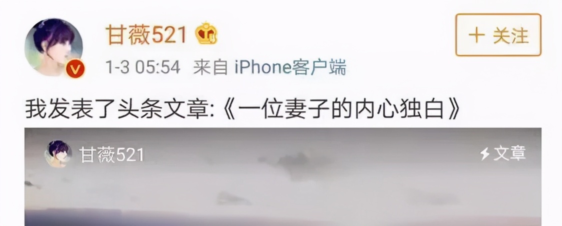 甘薇负债,甘薇资产负债多少亿