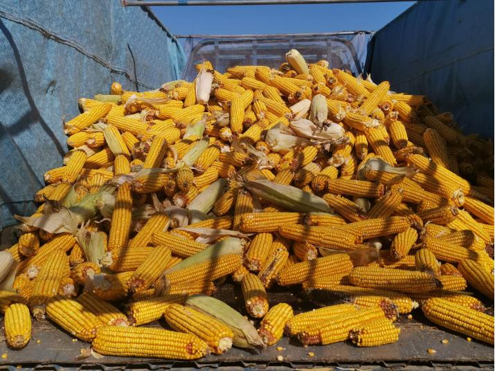 抓六稳促六保打好民生保障攻坚战,抓六保促六稳项目