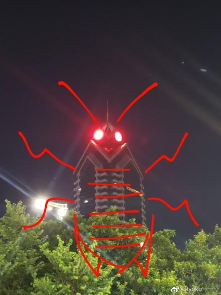 巨型蟑螂南方大蟑螂,广东巨型蟑螂和北方蟑螂对话