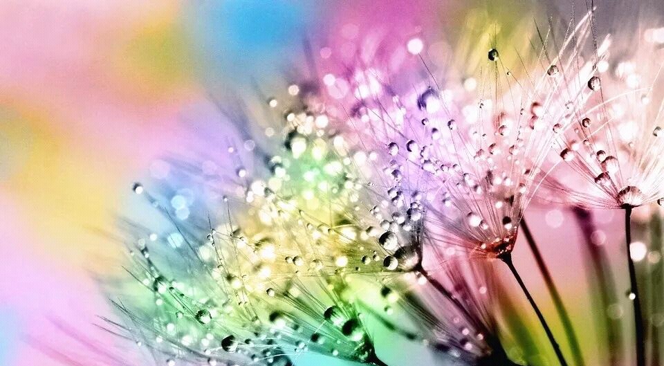 六年级上册优秀满分作文400字以上,中考十篇必看满分作文及段评