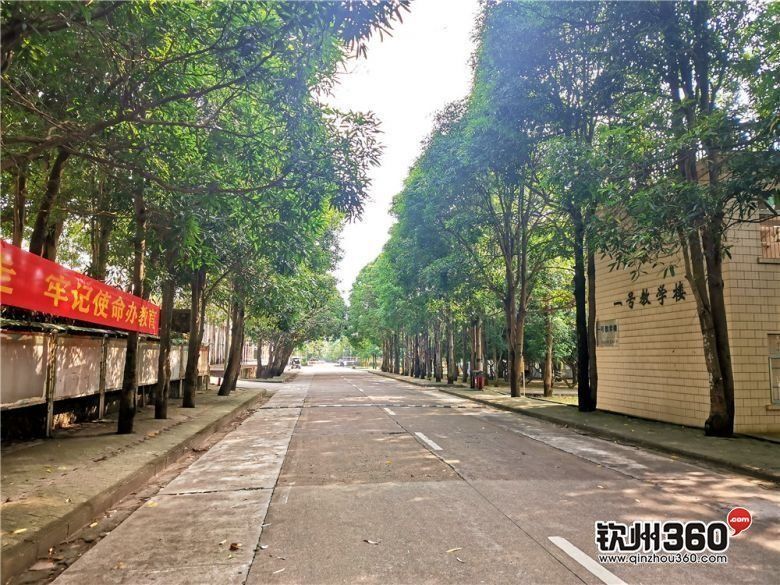 钦州高校,好消息高校招生