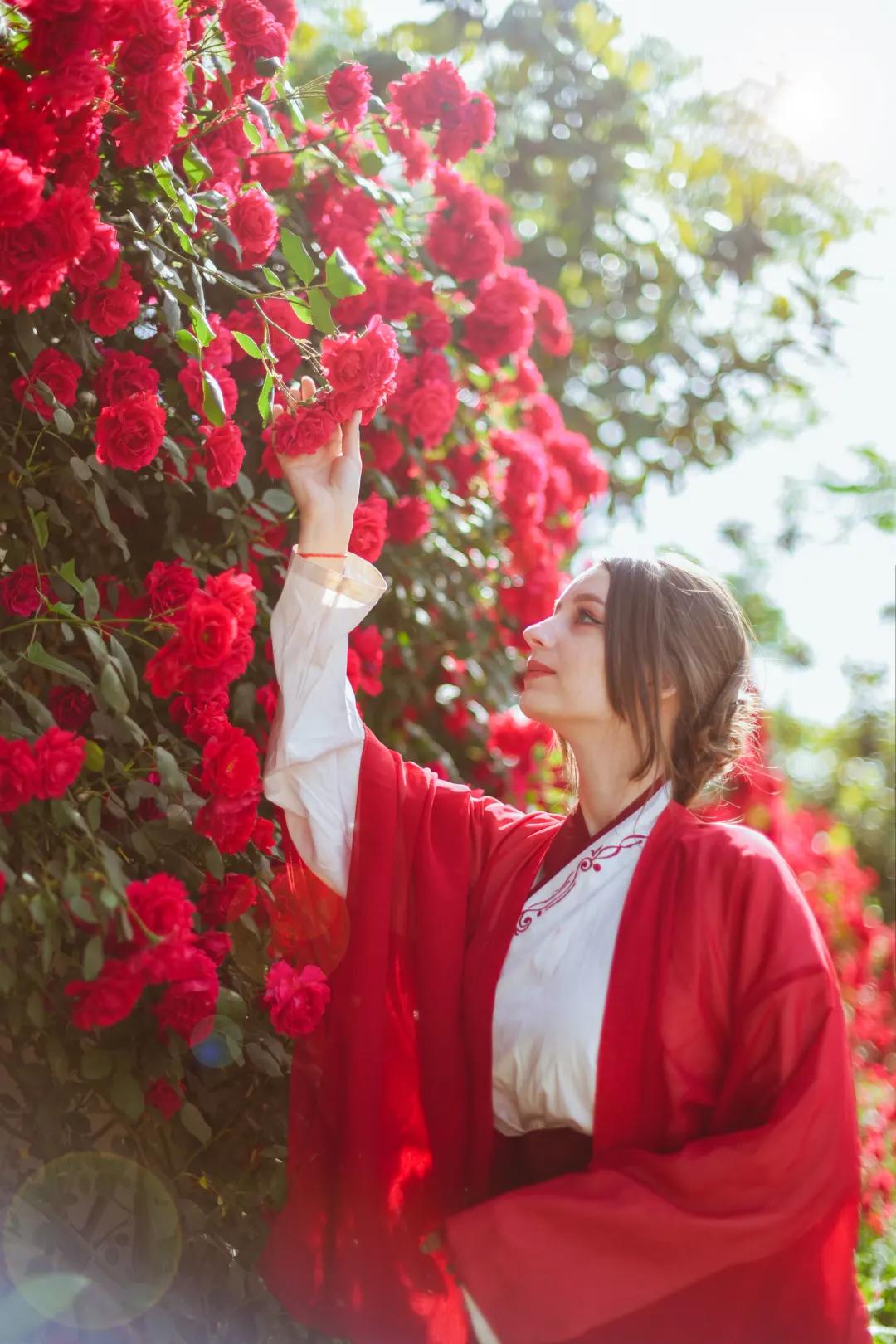 又刷屏了！高新这片花海，惊艳你的朋友圈！