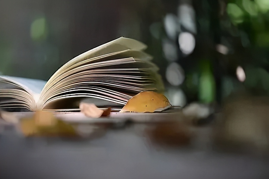 给暖暖讲了三年大语文，我发现可能连方向都走错了