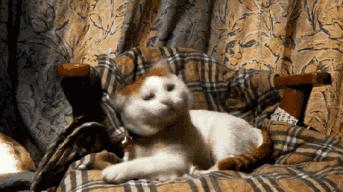 英国首相的出轨事件,英国首相绯闻事件