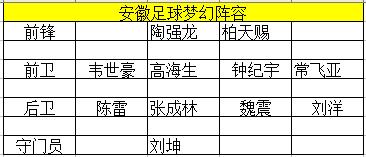 安徽足球职业联赛还有什么队伍,安徽籍足球队员