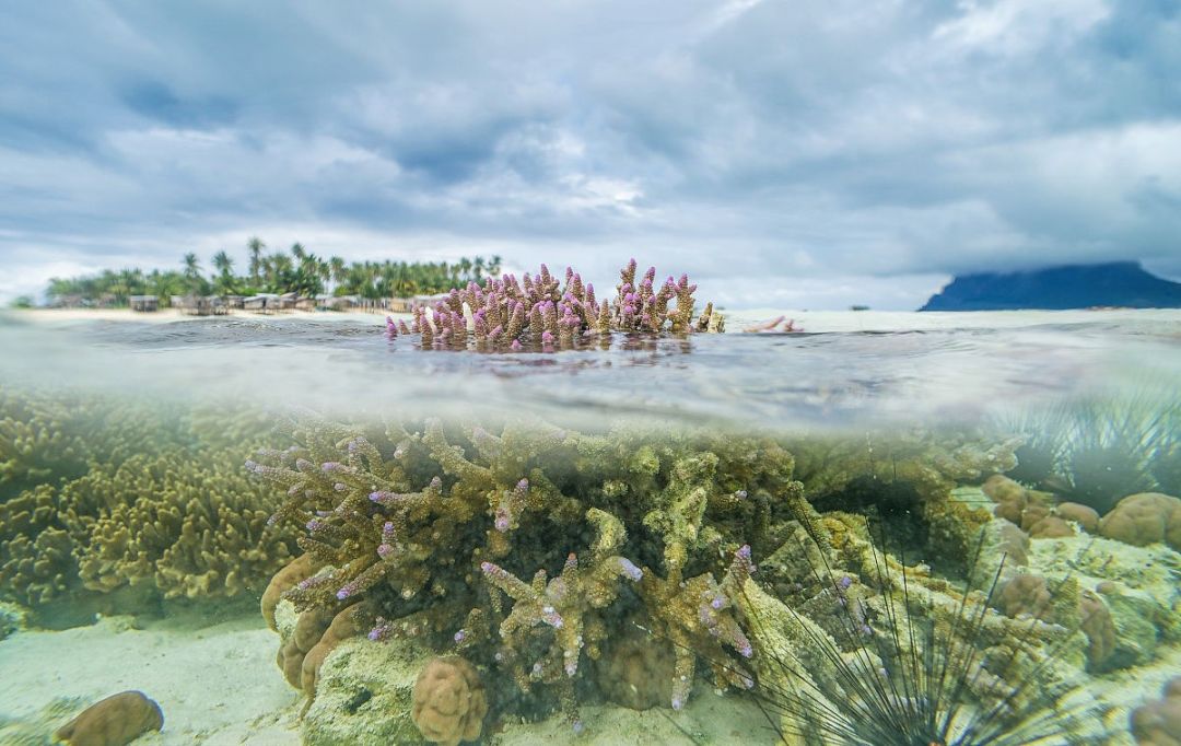 去哪个马尔代夫好玩,度假胜地马尔代夫
