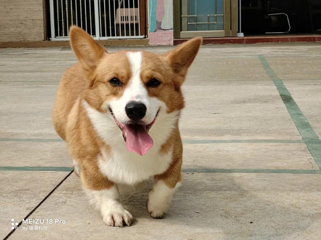 花3599购买魅族20值得吗,花4999买手机