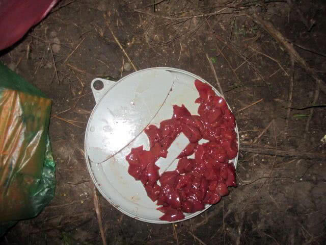 又到了钓淡水鱼的季节了,又到了钓翘嘴鳊鱼的季节