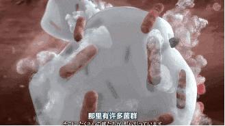 限时疯抢全国包邮,限时抢购全部68折优惠