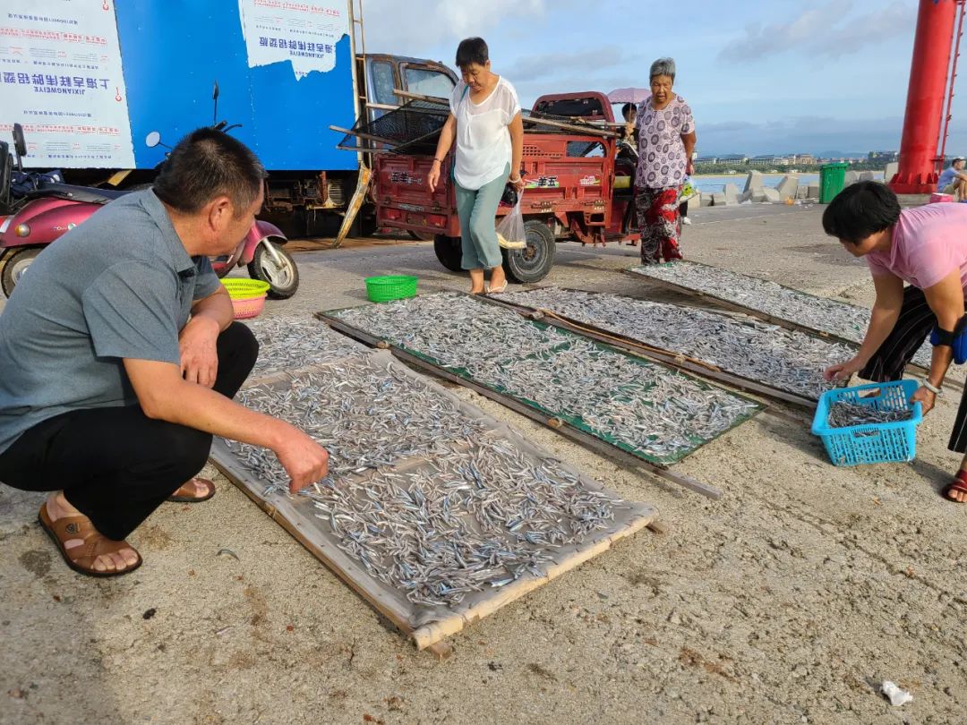 海南旅游纪实,海南旅游记录视频