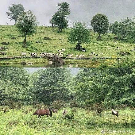 红了！黑竹沟迎颜值巅峰快去穿越五彩童话世界