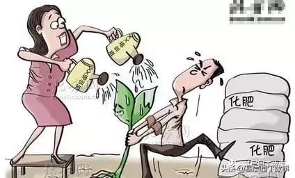 拔苗助长的教育启示,拔苗助长教育格言