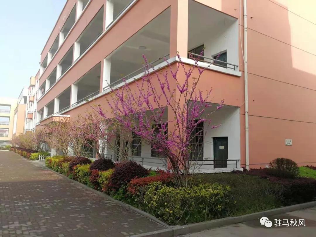 黄梅县六小学校六一,黄梅六小怎么样