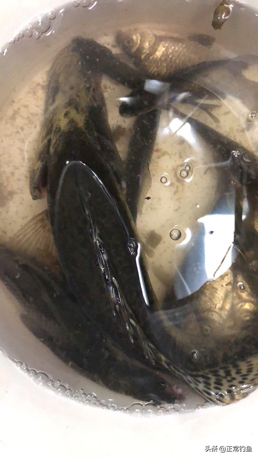 如何选择灵敏度高的浮漂,如何选择浮漂灵敏度