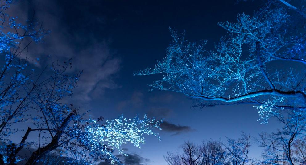 郑州的“潮”，被一个老牌房企，演绎的淋漓尽致