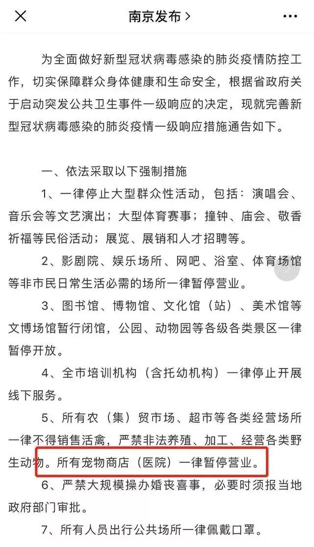 宠物腹泻呕吐做什么检查,爱宠呕吐是怎么回事