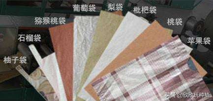 水果套袋哪种最好,葡萄果袋套袋方法