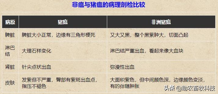 原创运用中草药防治非洲猪瘟有效吗？组方和有效防治措施分享