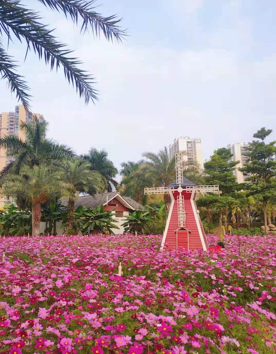 广西省南宁市适合居住养老吗,广西南宁哪个县最适合养老