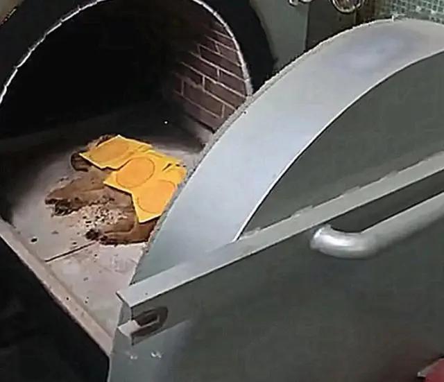 狗狗死亡火化主人哭,狗狗死后火化送去天堂