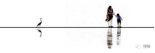 保险公司如实告知哪些内容,保险告知不实如何处理