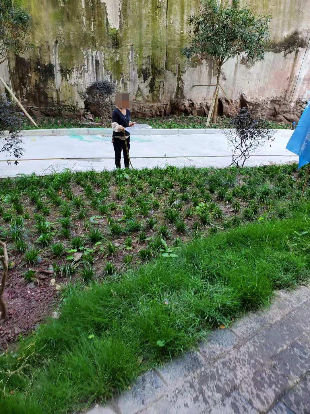 重庆沙坪坝刚交房的小区,重庆沙坪坝区接房信息