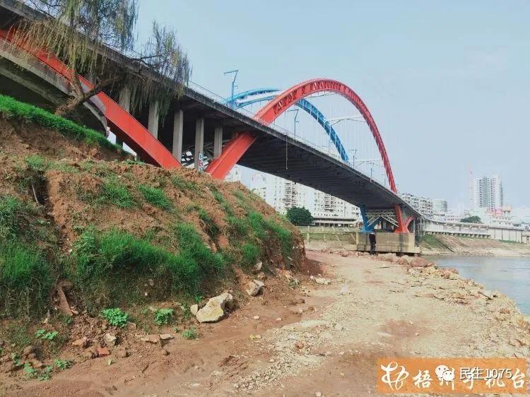 河西防洪堤“全线升级”！防洪功能和景观水平将大大提高你期待吗