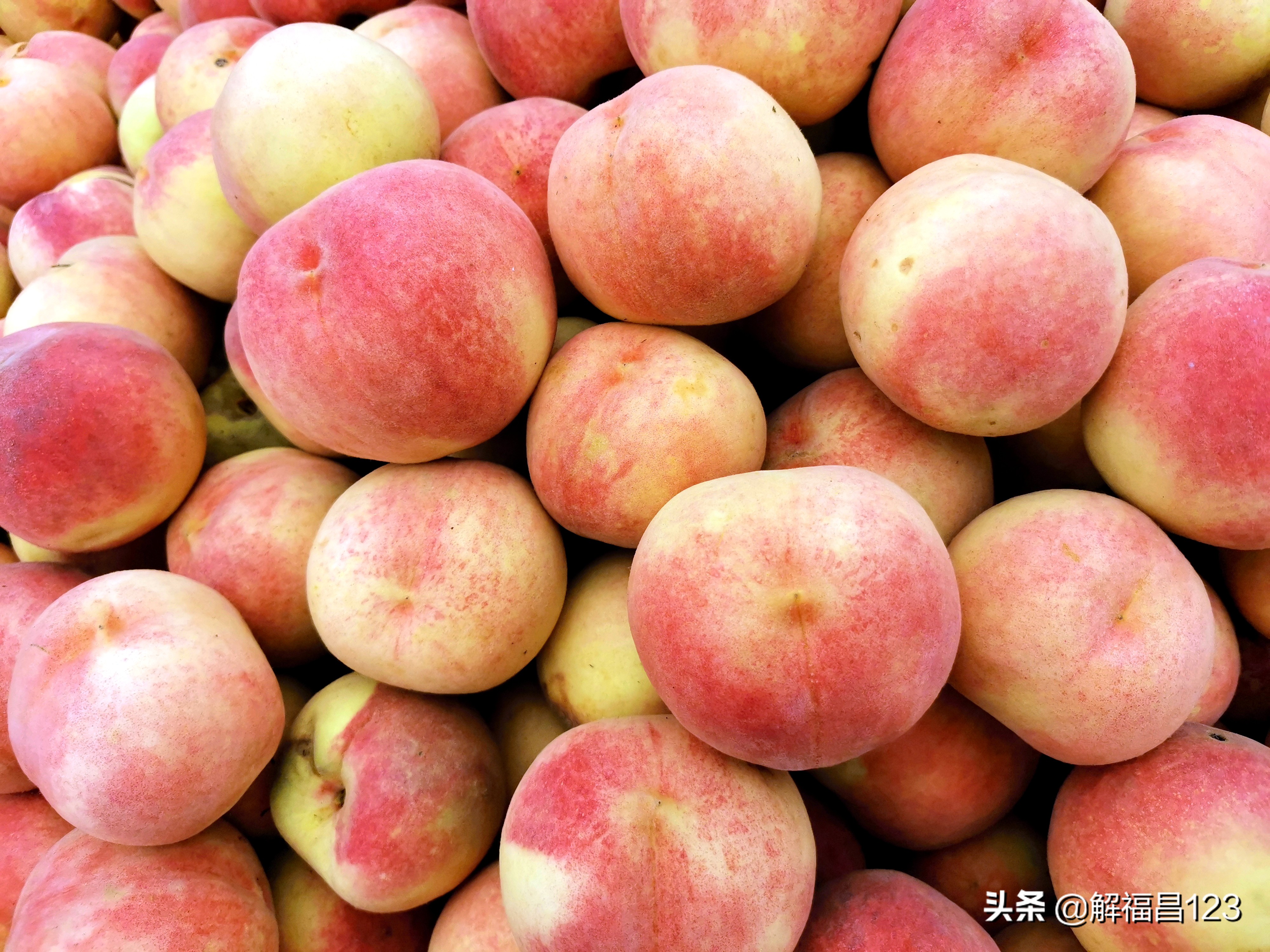 300亩晚熟桃多少钱 (晚熟桃多少钱一亩)